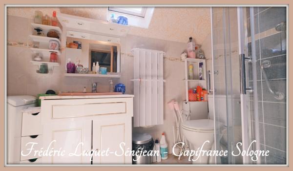 Maison à vendre 6 pièces à SAINT LAURENT NOUAN (41) - Un cadre rare, une maison à repenser, un projet de vie...