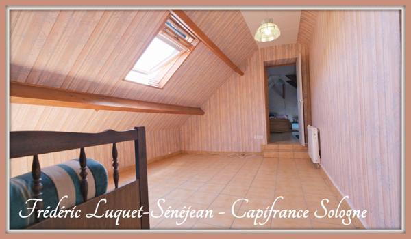 Maison à vendre 6 pièces à SAINT LAURENT NOUAN (41) - Un cadre rare, une maison à repenser, un projet de vie...