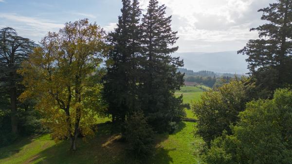 Vente Maison de maître Mazamet 20 Pièces 510 m²