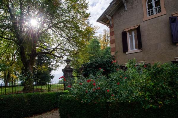 Vente Maison de maître Mazamet 20 Pièces 510 m²