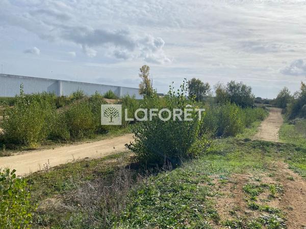 Achat terrain près de Doué-en-Anjou - 16902 m² - 440 990 €