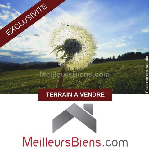EXCLUSIVITE  DERNIER LOT PARCELLE DE  313 M2 RAVINE SECHE AVIRONS