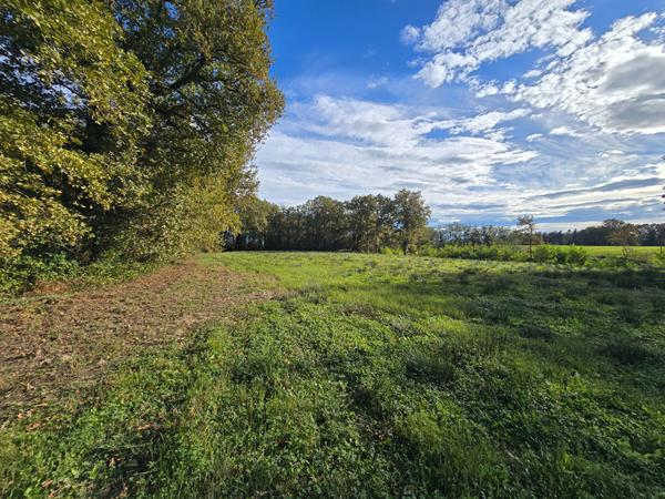 Terrain 17845 m2