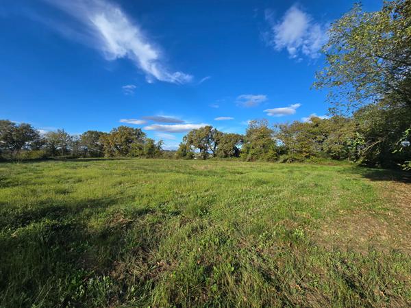 Terrain 17845 m2