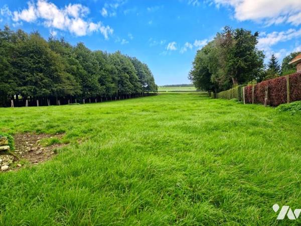 NOUVEAUTE en EXCLUSIVITE - Terrain à bâtir sur COULOMBY