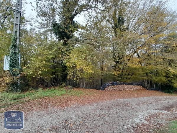 Vente terrain 15960m²