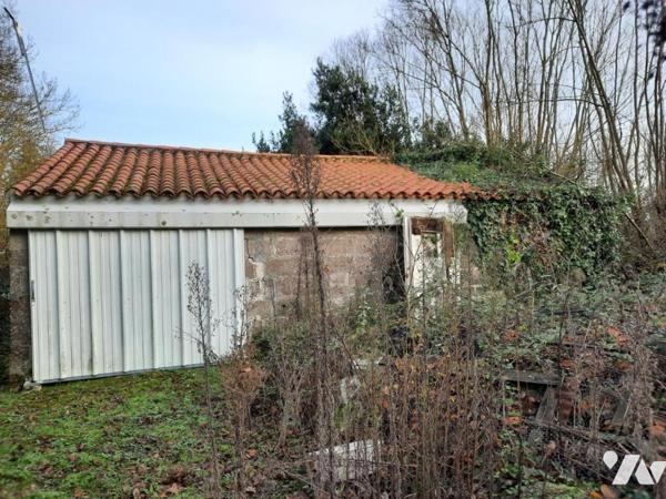 SALLERTAINE - En campagne