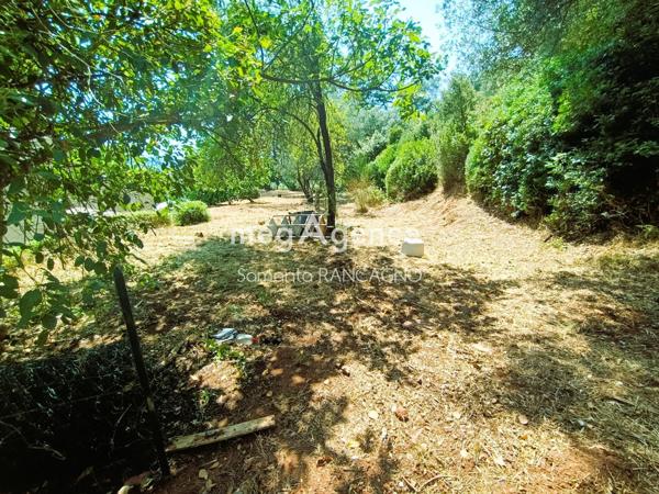 Maison à LE CANNET-DES-MAURES, 83340 - 7 pièces 150m²