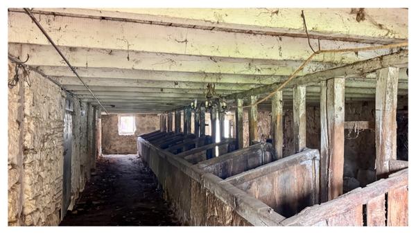 Corps de ferme avec dépendances sur 2 ha – Pont-du-Casse (proche Agen)