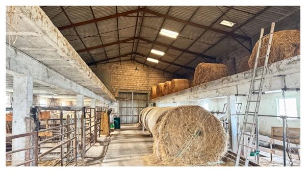 Corps de ferme avec dépendances sur 2 ha – Pont-du-Casse (proche Agen)