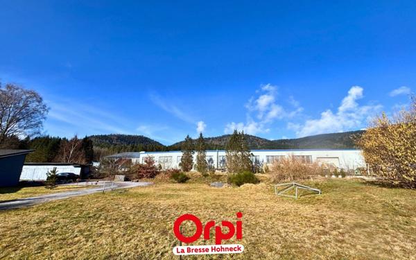 Terrain à vendre    Saint-Amé