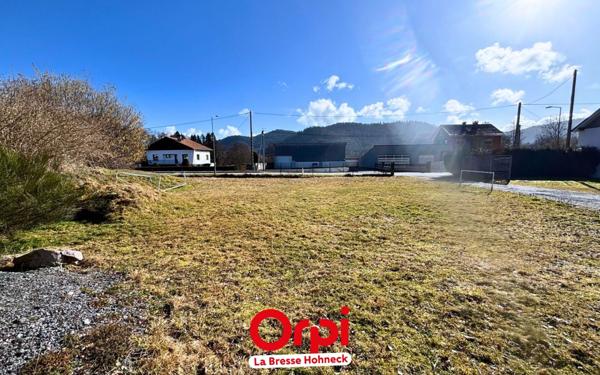 Terrain à vendre    Saint-Amé