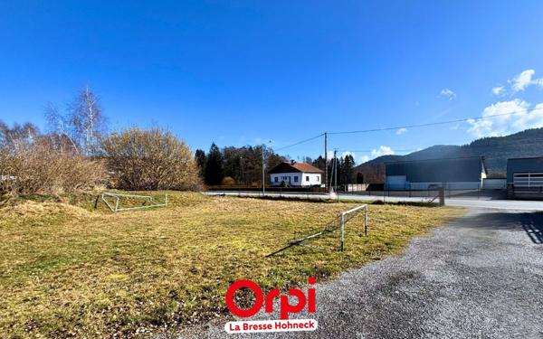 Terrain à vendre    Saint-Amé