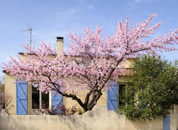 Vente Maison 4 pièces 101 m2 à Prades-le-Lez