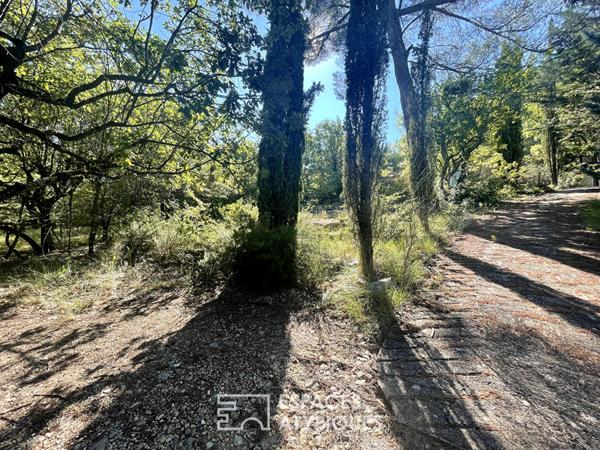 Maison sur terrain de 8000 m2 dont 4000 m2 constructibles