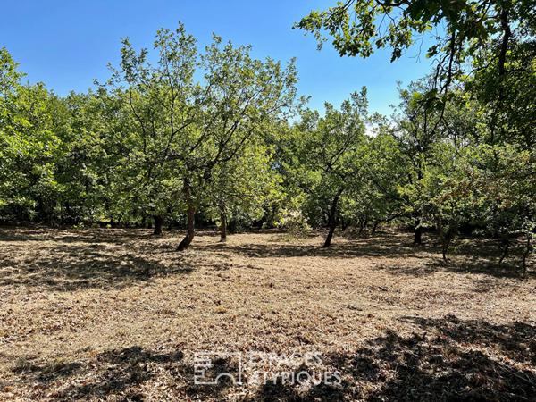 Maison sur terrain de 8000 m2 dont 4000 m2 constructibles