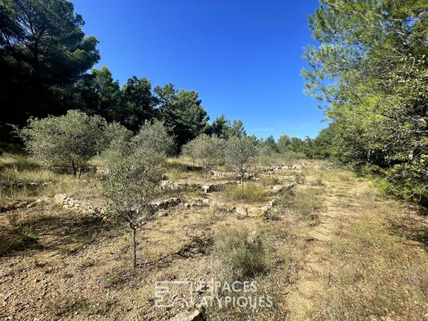 Maison sur terrain de 8000 m2 dont 4000 m2 constructibles