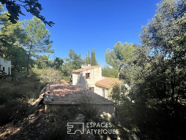 Maison sur terrain de 8000 m2 dont 4000 m2 constructibles