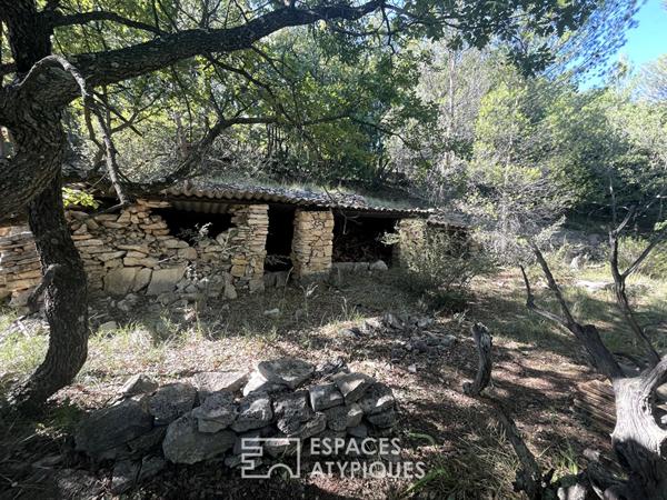 Maison sur terrain de 8000 m2 dont 4000 m2 constructibles