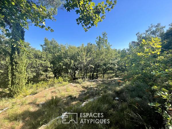 Maison sur terrain de 8000 m2 dont 4000 m2 constructibles