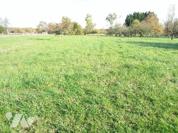 TERRAIN CONSTRUCTIBLE DE 1470 M² A FOUGERES SUR BIEVRE, 10 MNS DE CONTRES
