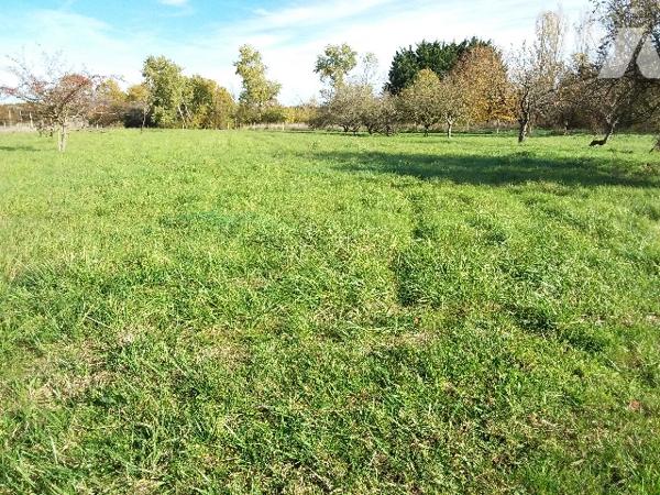 TERRAIN CONSTRUCTIBLE DE 1470 M² A FOUGERES SUR BIEVRE, 10 MNS DE CONTRES