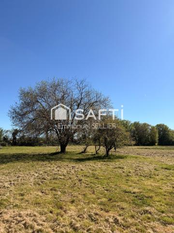 Terrain constructible 4800 m2
