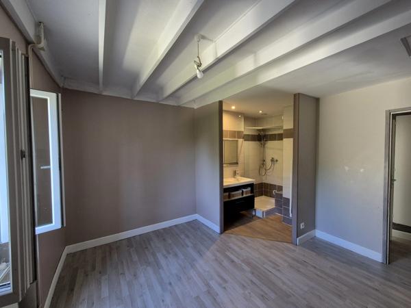 Charmante maison en pierre rénovée avec jardin – Proche commerces à Condom (32100)