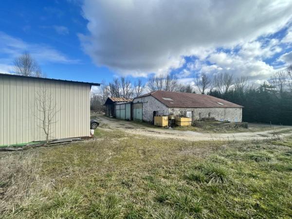 Vente murs / Local activité