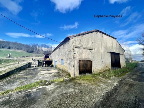 Vente murs / Local activité