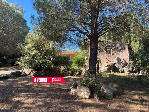 Maison type T4 avec piscine sur grand terrain - STE LUCIE DE PORTO-VECCHIO (20144) - CORSE DU SUD  - FRANCE