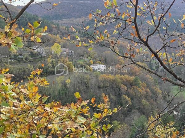 Venez visiter cette maison de 4 pièces possible 5, jardin 1700 m2 et annexes de 50 m2.
Sans aucun vis à vis, construite en 1972 et rénovée, habitable immédiatement !
A 1H15 de Montpellier, 30 minutes de l'A75 et 15 minutes du Vigan transports scolaires à 5 min à pied de la maison.
Après avoir quitté la route principale qui amène vers Millau, nous nous engageons sur une petite route sans issue, tranquillité assurée.
Accès à une réserve d'eau.
Le terrain a été en partie clôturé, l'espace est entretenu, chênes en grande majorité, jardin potager.
Nous entrons directement dans le séjour pour gagner de l'espace, belle pièce lumineuse, poêle à bois Godin performant, la cuisine reste aménagée, 3 chambres, salle de bain, WC indépendant, nombreux placards.
2 terrasses avec vue et mi-ombre pour l'été. Au sous-sol pièce de 25 m2 aménageable, atelier + dessous de terrasse et vide sanitaire.
Barbecue, poulailler, serre.
De nombreux travaux de réfection de moins de 10 ans ont été réalisés.
(toiture, isolation ext. façade et combles, menuiseries, volets électriques, ...) et d'aménagement terrasse et sous-sol en rez-de-jardin.
Assainissement collectif relié au tout l’égout.
Taxe foncière 2025 - 579 euros.
Mandat exclusif.
Un lieu unique et magique pour les amoureux des espaces protégés !