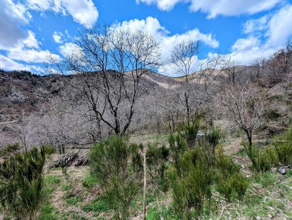 Vente / Terrain de loisirs