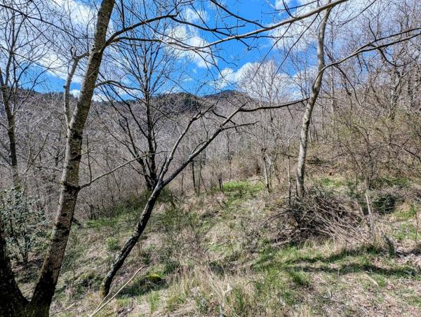 Vente / Terrain de loisirs