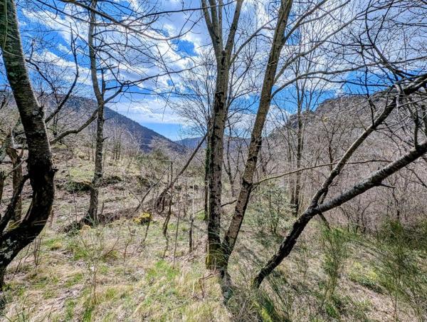 Vente / Terrain de loisirs