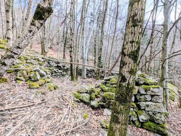 Vente / Terrain de loisirs