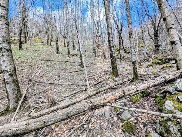 Vente / Terrain de loisirs