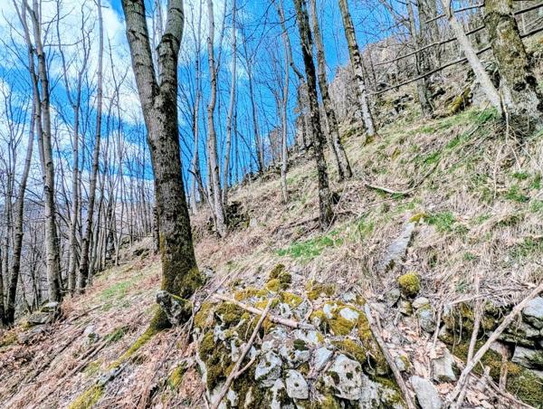 Vente / Terrain de loisirs