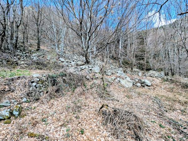 Vente / Terrain de loisirs