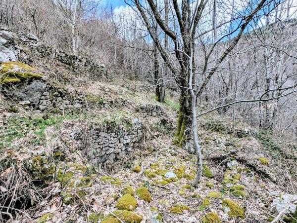 Vente / Terrain de loisirs