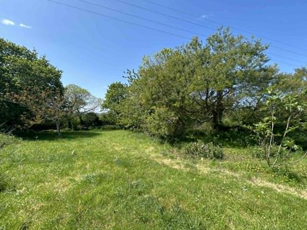 Plouider (29260) Grande propriété en campagne