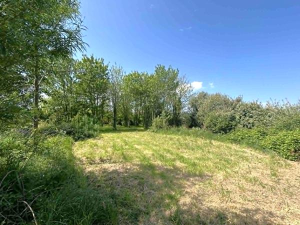 Plouider (29260) Grande propriété en campagne
