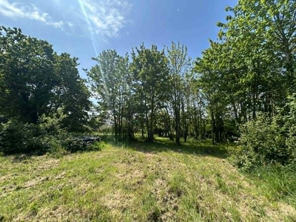 Plouider (29260) Grande propriété en campagne