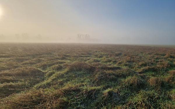 Terrain à vendre    Châtillon-sur-Cher