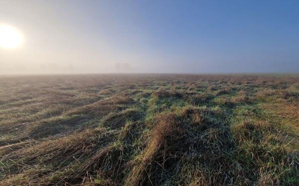 Terrain à vendre    Châtillon-sur-Cher