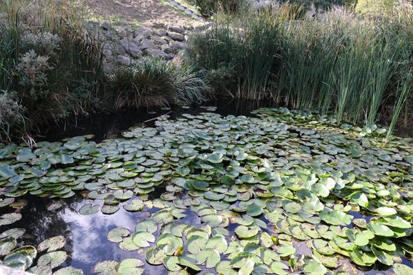 Vente Appartement MONTIGNY LES CORMEILLES (95370) - 4 pièces - 63 m² |