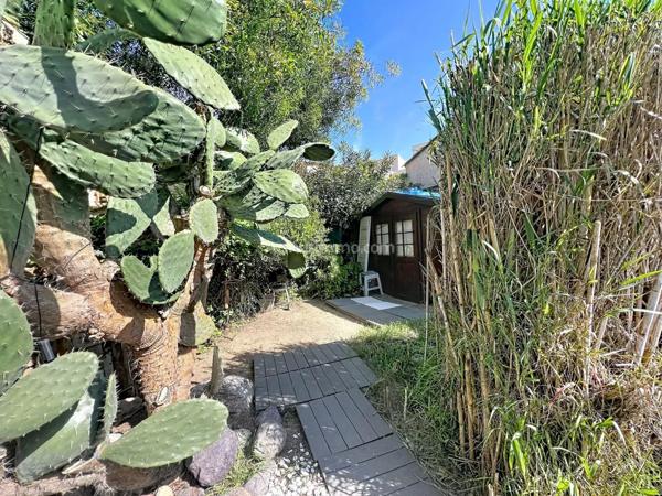 Vente Maison 2 pièces 40 m2 à Calvi