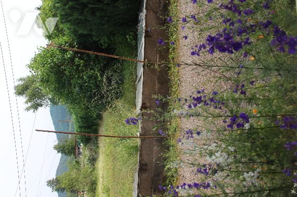 Maison mitoyenne d'un côté avec un garage sur 788m² de terrain, dont un jardin/potager de 300m²