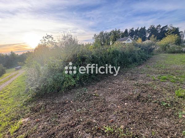 Terrain - 4480 m² Exclusivité efficity