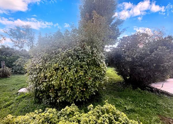 Maison 4 pièces/3 chambres - 112 m2 - Saint-Jean-de-Liversay (17170), Saint jean de liversay 17170